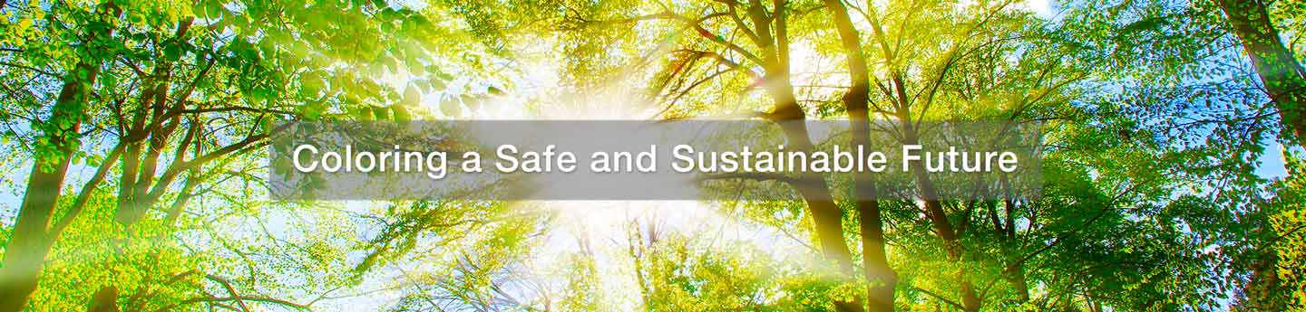 Sustainability Coloring a Safe and Sustainable Future