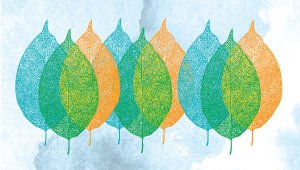 Sustainable Products
