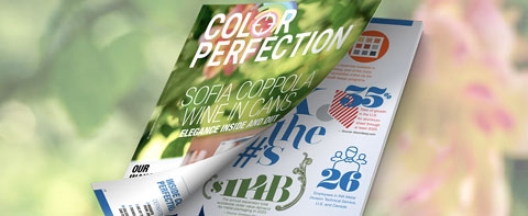 Color Perfection Magazine